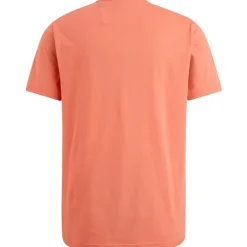 American Classic tee porcelain rose