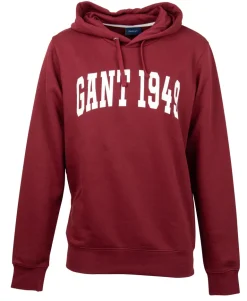 Banner Shield Hoodie plumped red