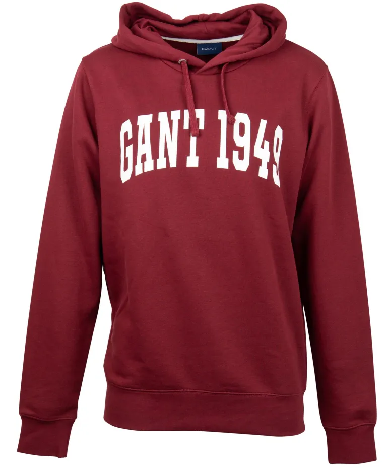 Banner Shield Hoodie plumped red