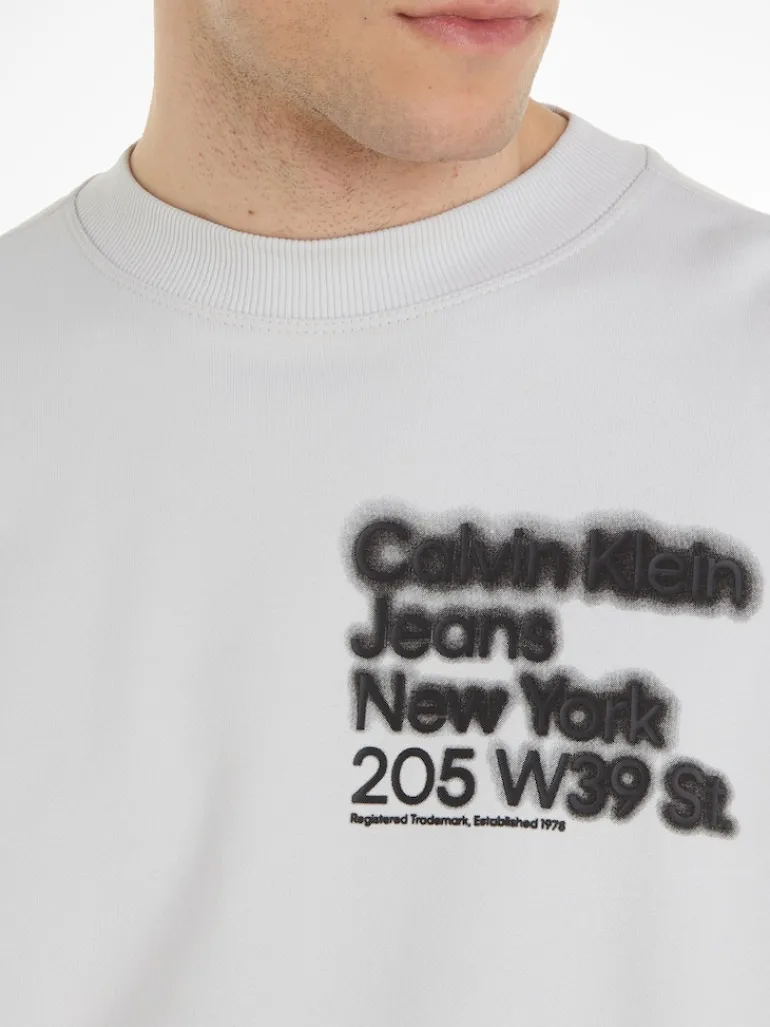 BLURRED ADDRESS LOGO CREW NECK ghost grey