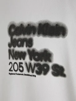 BLURRED ADDRESS LOGO CREW NECK ghost grey