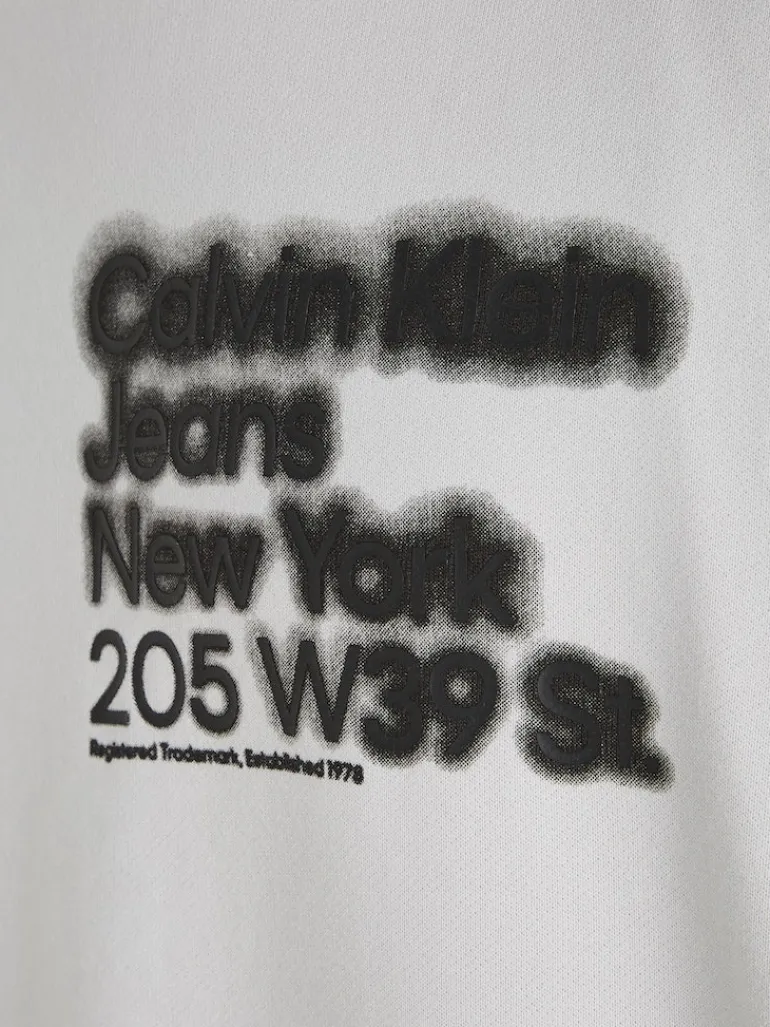 BLURRED ADDRESS LOGO CREW NECK ghost grey