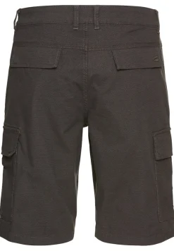 Cargo Shorts Regular Fit thunderstorm