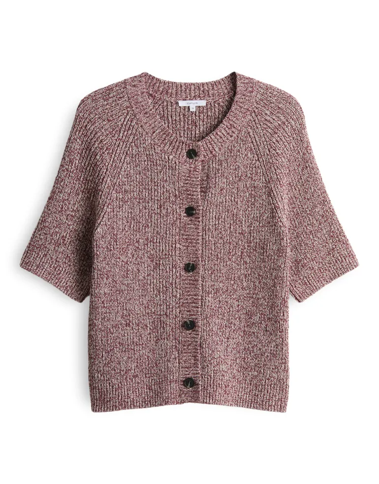Dacki cassis
