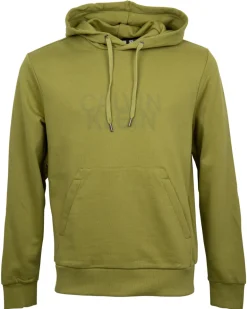 DISTORTED LOGO HOODIE grün
