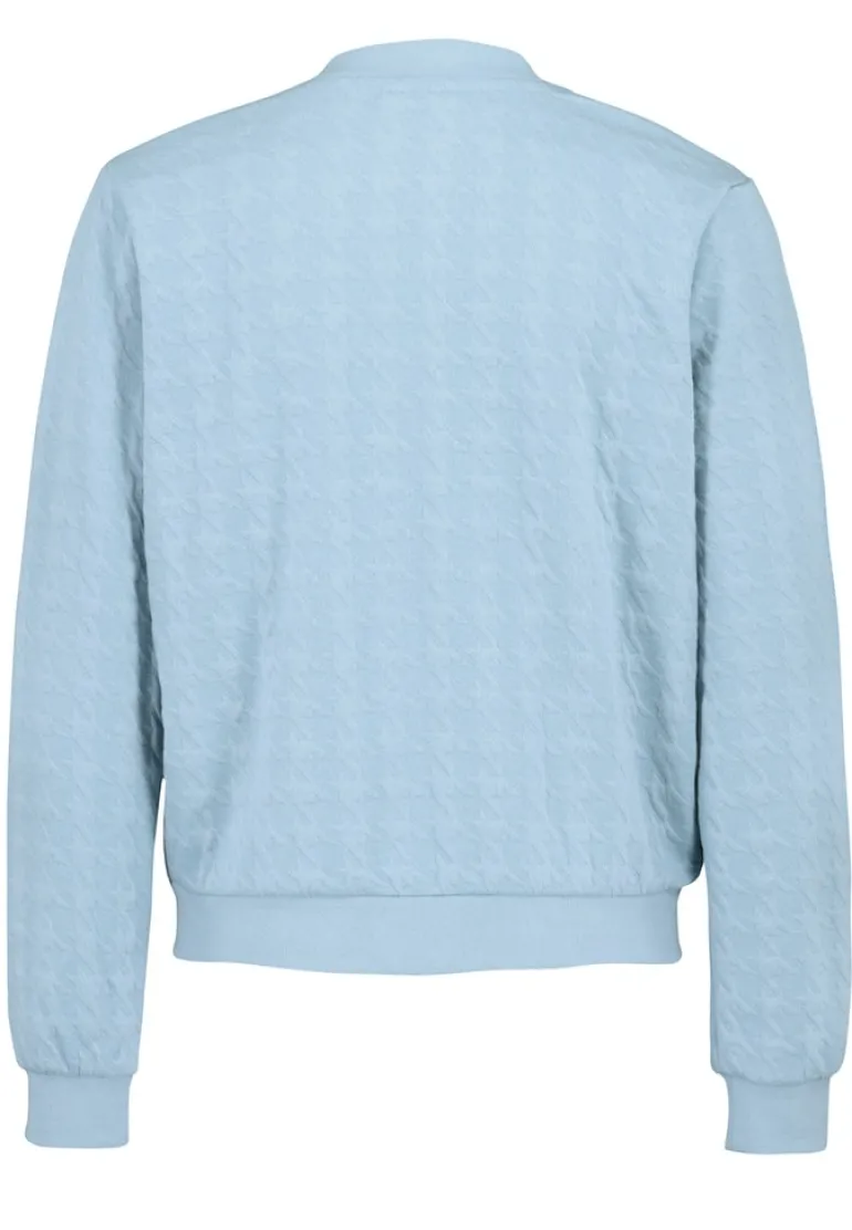 DOB Bomberjacke in jacquard sweat,langarm,Rippbündchen+Stehkragen sky grey blue