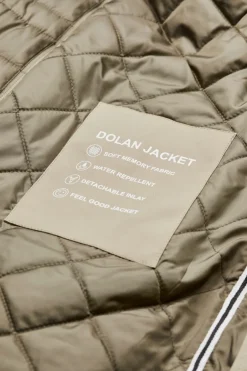 Dolan grün1