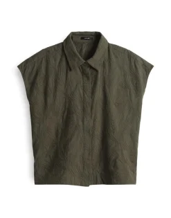 Falme olive leaf
