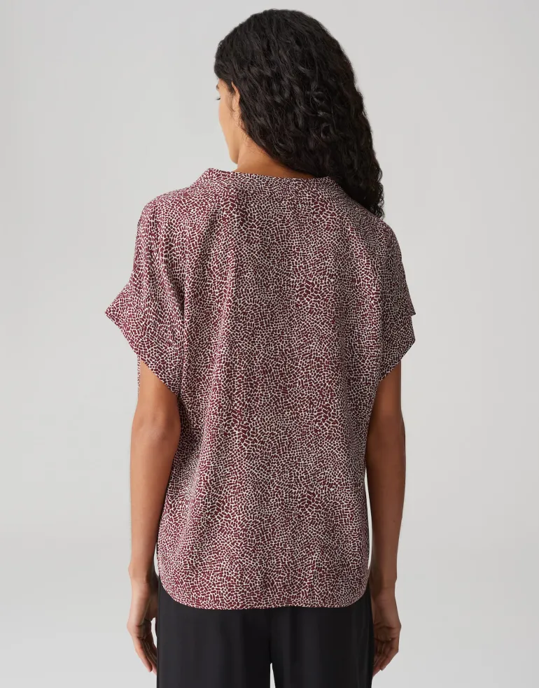 Filva minimal cassis