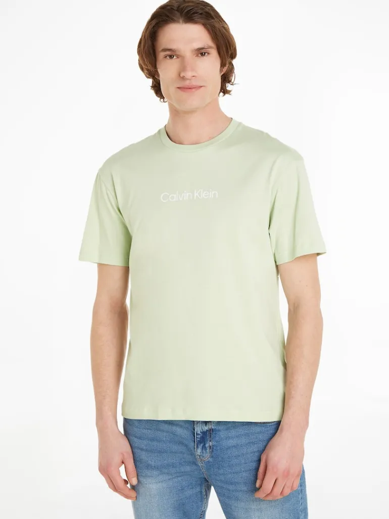 HERO LOGO COMFORT T-SHIRT gleam
