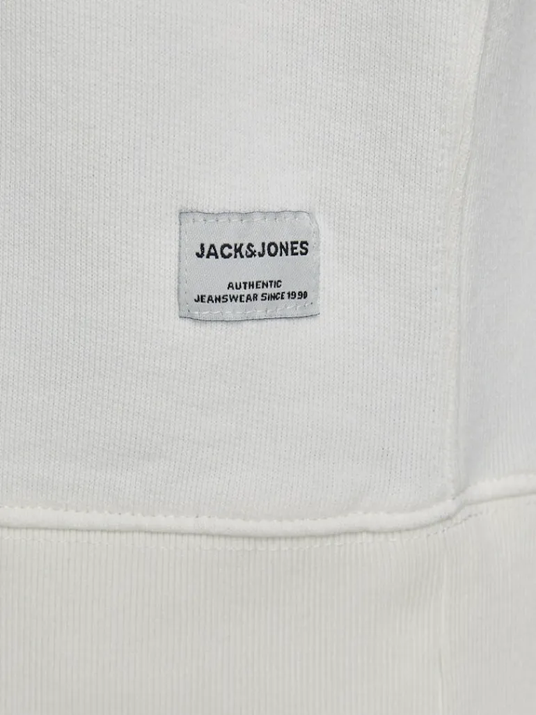 JJEORGANIC BASIC SWEAT CREW NECK NOOS cloud dancer