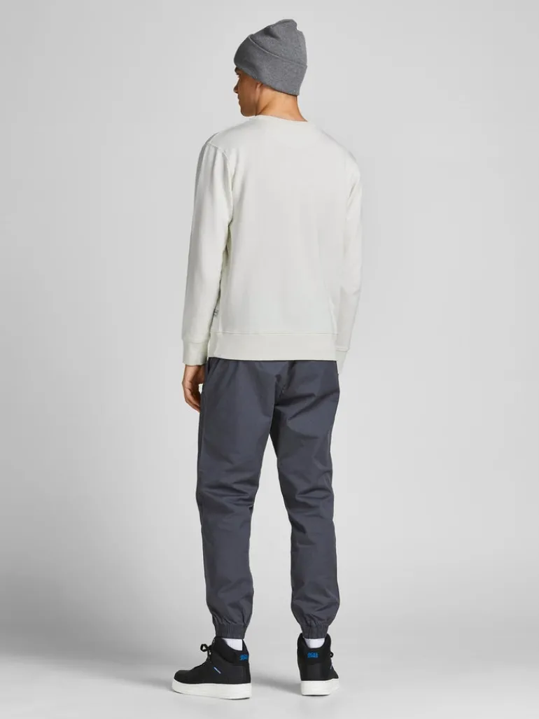 JJEORGANIC BASIC SWEAT CREW NECK NOOS cloud dancer