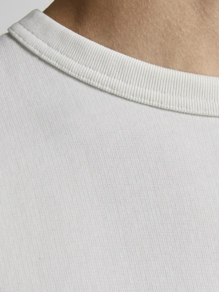 JJEORGANIC BASIC SWEAT CREW NECK NOOS cloud dancer