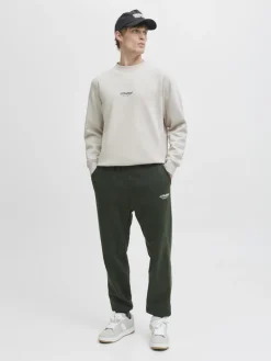 JJESOHO SWEAT CREW NECK NOOS moonbeam