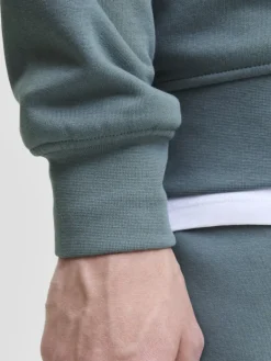 JJESOHO SWEAT CREW NECK NOOS stormy weather