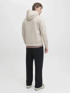 JJESOHO SWEAT HOOD NOOS moonbeam