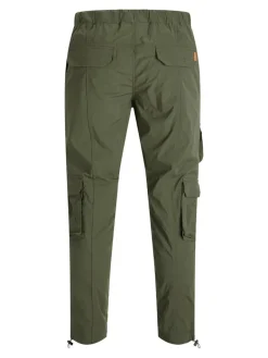 JPSTACE JJPLUTO AKM FOREST NIGHT forest night