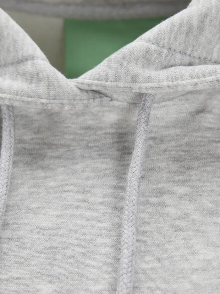JXALLY VOL LS HOOD SWT SN light grey melange