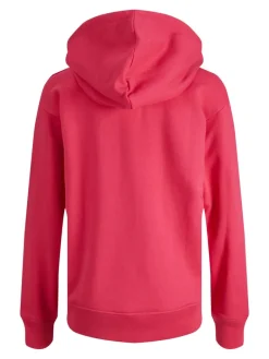 JXANINA LS REL EVERY HOODIE NOOS bright rose