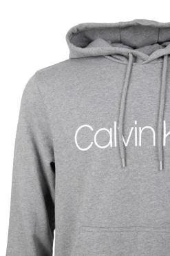 LOGO HOODIE AUS BIO-BAUMWOLLE grau