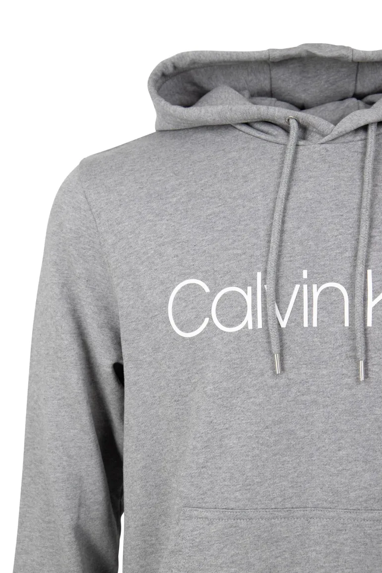 LOGO HOODIE AUS BIO-BAUMWOLLE grau