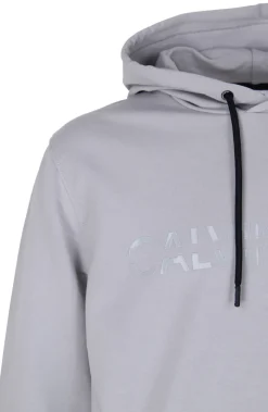 MATT SHINE SPLIT LOGO HOODIE grey fog