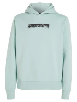 NEW YORK BOX LOGO HOODIE ghost glacier