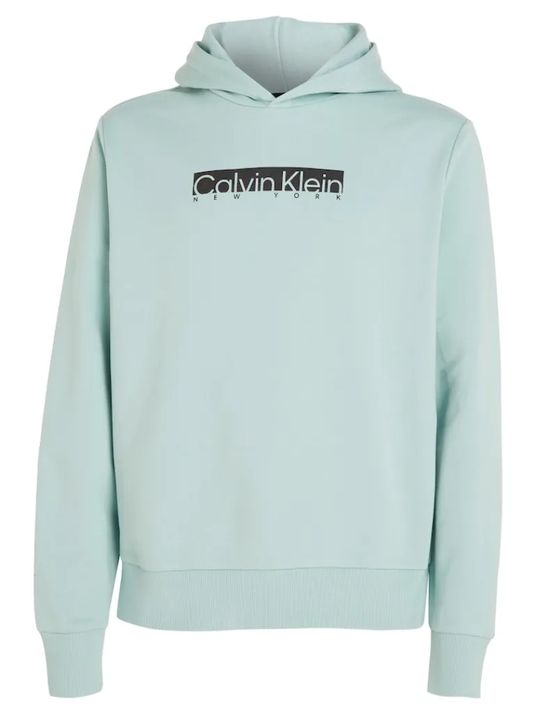 NEW YORK BOX LOGO HOODIE ghost glacier