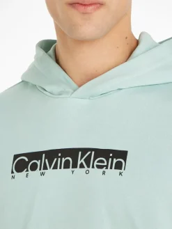 NEW YORK BOX LOGO HOODIE ghost glacier