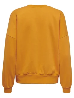 ONLCALLIE L/S O-NECK BOX SWT apricot