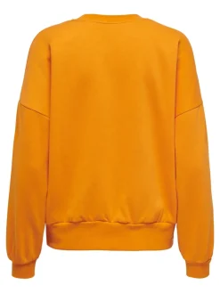 ONLCALLIE L/S O-NECK BOX SWT apricot
