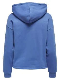 ONLFAVE L/S HOOD SWT granada sky