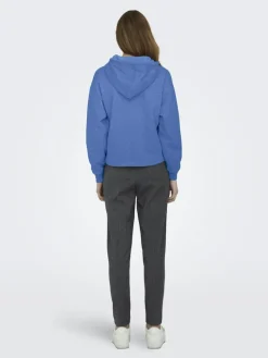 ONLFAVE L/S HOOD SWT granada sky