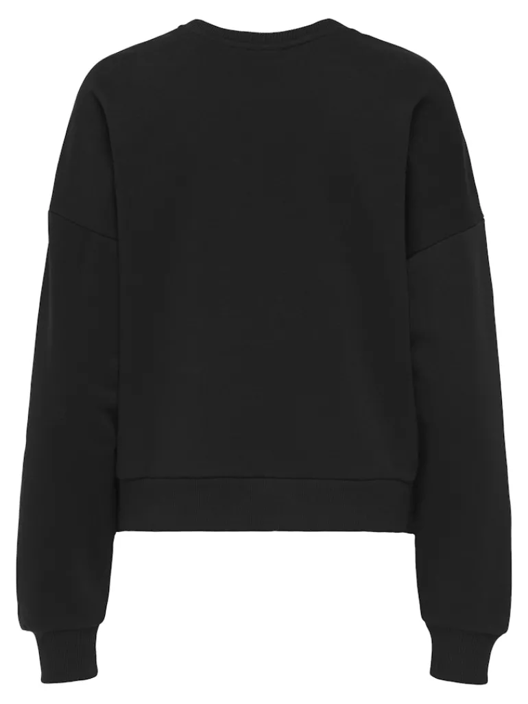 ONLJENNA L/S O-NECK EMB. BOX SWT black