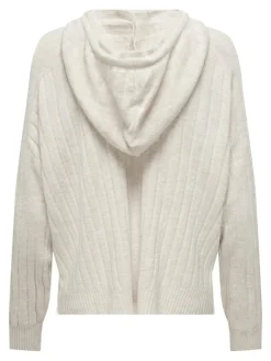 ONLNEW TESSA LS HOOD DETAIL PUL NOOS KNT hellgrau