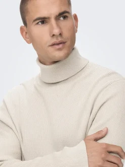ONSPHIL REG 12 STRUC ROLL NECK KNIT silver lining