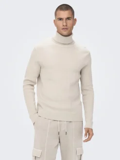 ONSPHIL REG 12 STRUC ROLL NECK KNIT silver lining