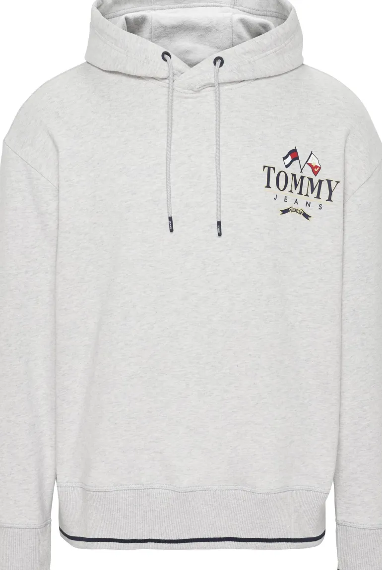RELAXED FIT SKATER-HOODIE MIT LOGO silver grey