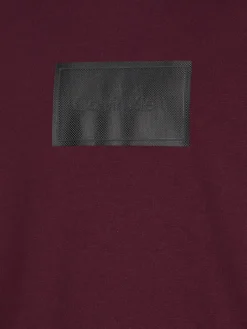 TEXTURED LOGO BOX COMFORT HOODIE passion plum