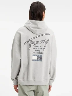 TJM OVZ AOP BACK HOODIE silver grey htr