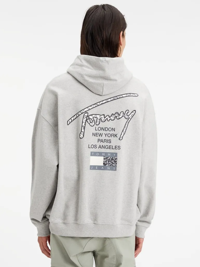 TJM OVZ AOP BACK HOODIE silver grey htr