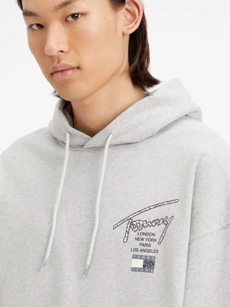 TJM OVZ AOP BACK HOODIE silver grey htr
