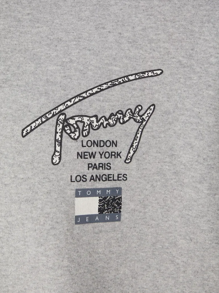TJM OVZ AOP BACK HOODIE silver grey htr