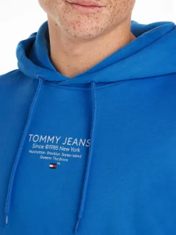 TJM REG ESNTL GRAPHIC HOOD EXT meridian blue