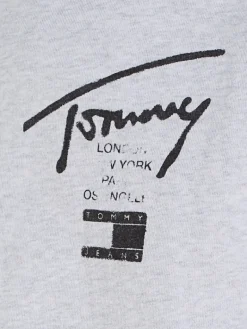 TJM REG TOMMY SPRAY PAINT HOODIE silver grey