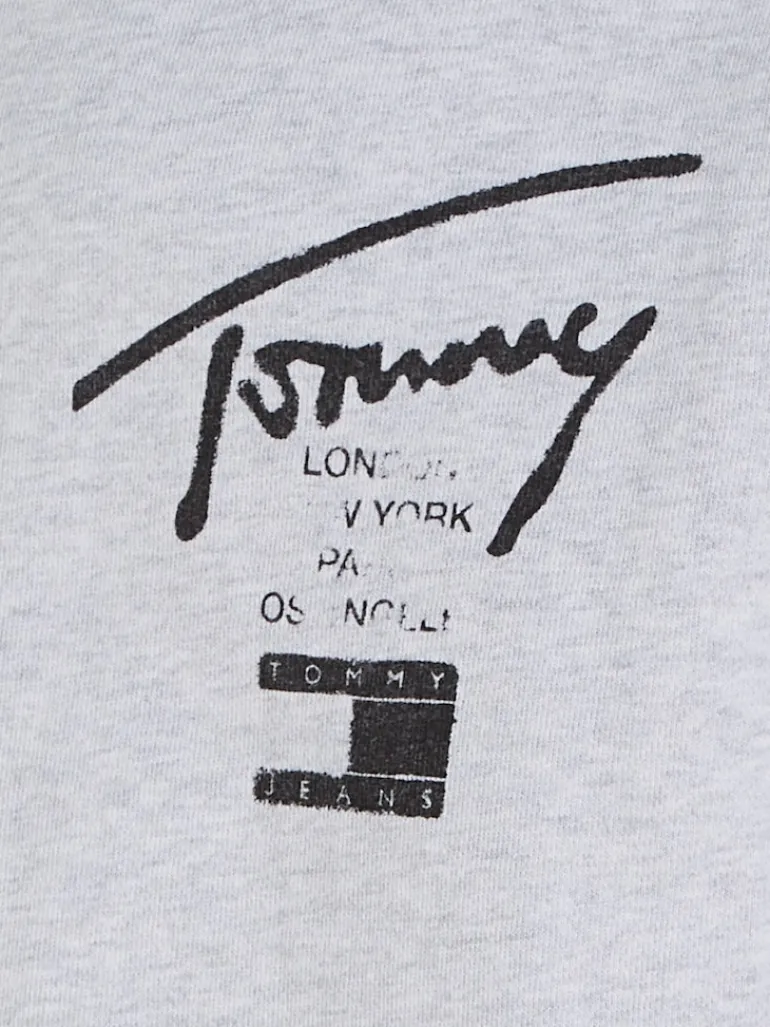 TJM REG TOMMY SPRAY PAINT HOODIE silver grey