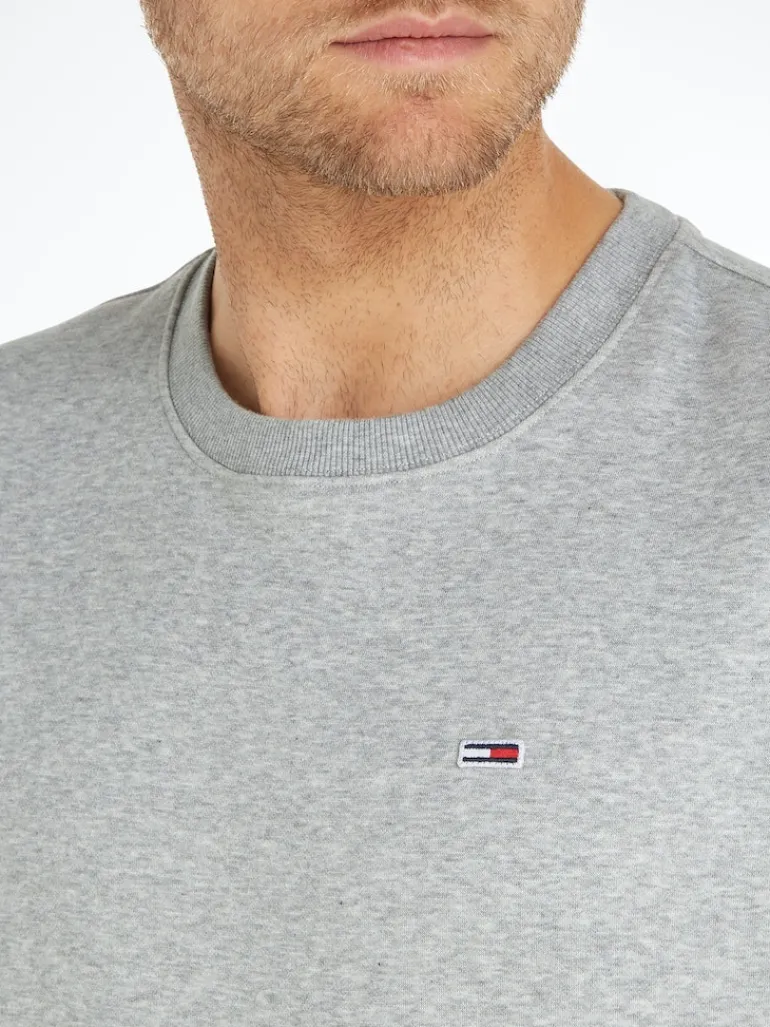 TJM REGULAR FLEECE C NECK lt grey htr