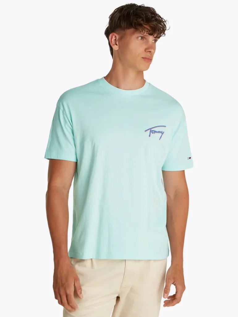 TJM RLX FADED GRAPHIC TEE EXT spring mint
