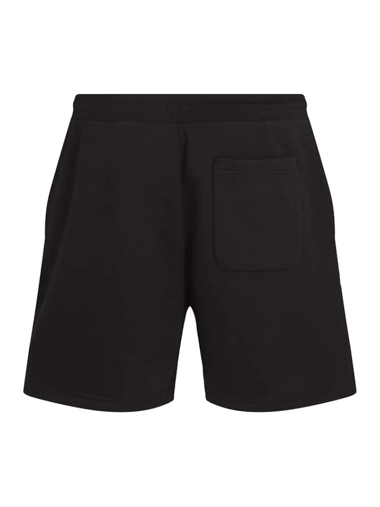 TJM S FLAG BEACH SHORT EXT black