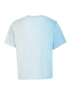 TJW CLS DIP DYE SIGNATURE TEE skysail
